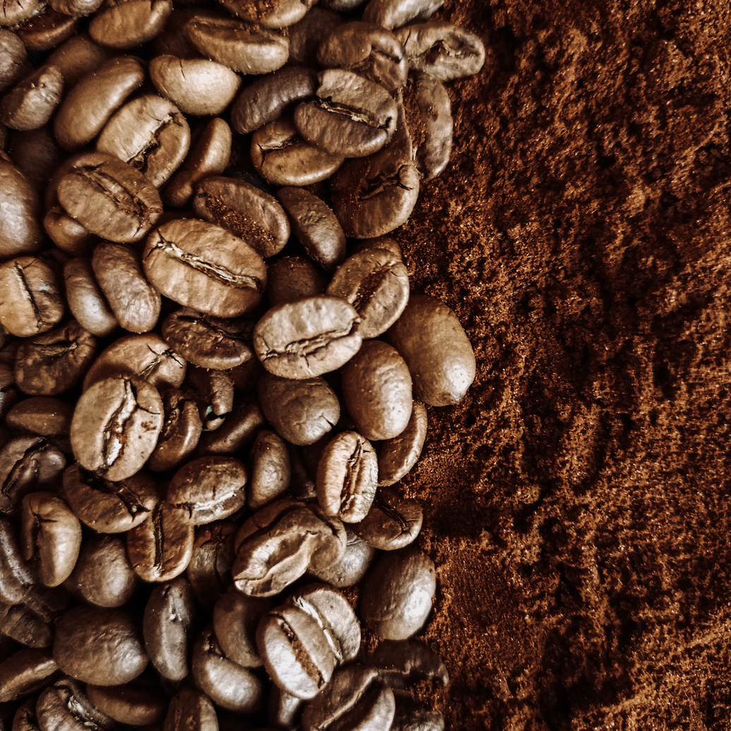Exploring Coffee Origins Around the World